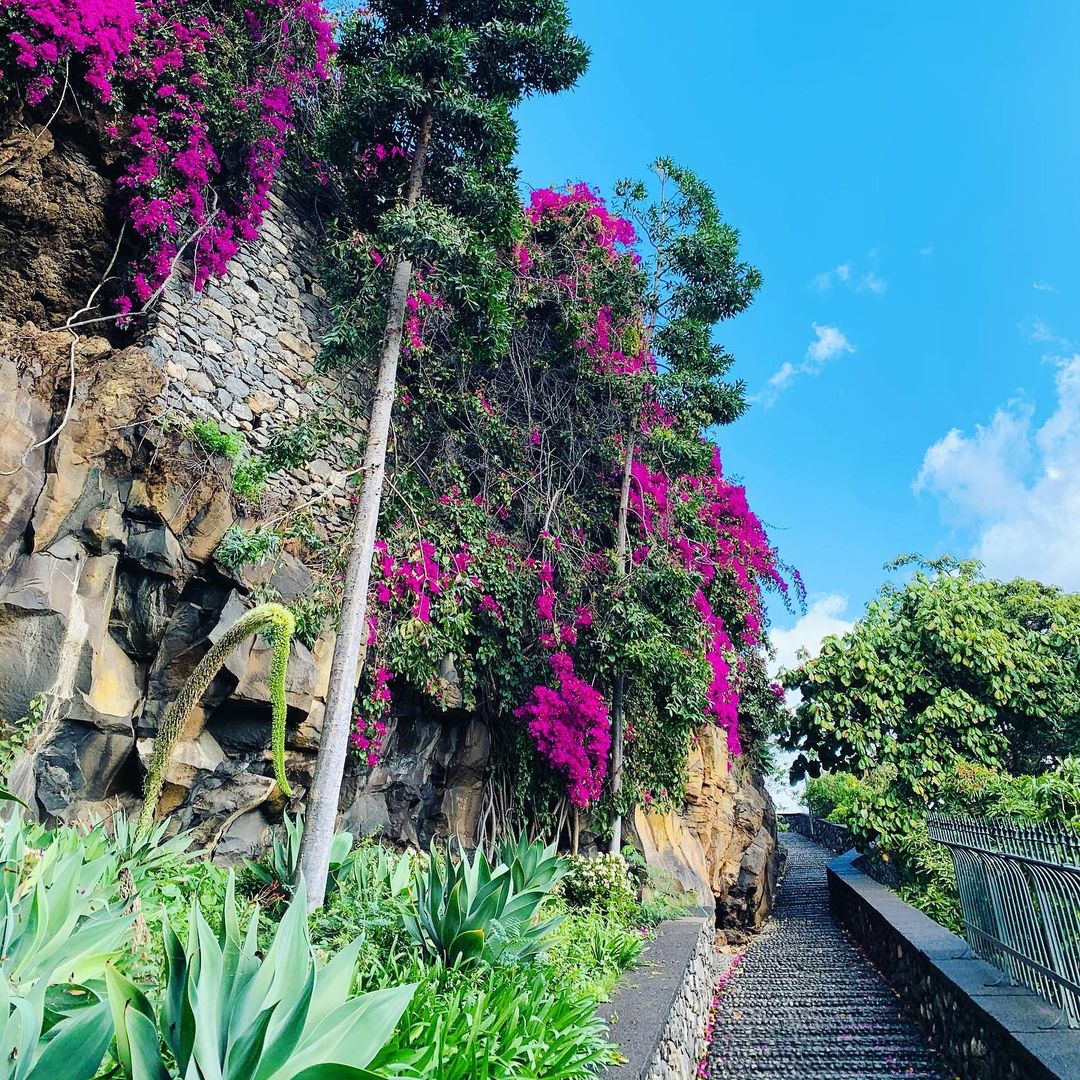 Schodami do parku Santa Catarina w Funchal. Można w nim zobaczyć kapliczkę św. Katarzyny wybudowaną w 1425 roku oraz pomnik Krzysia Kolumba.