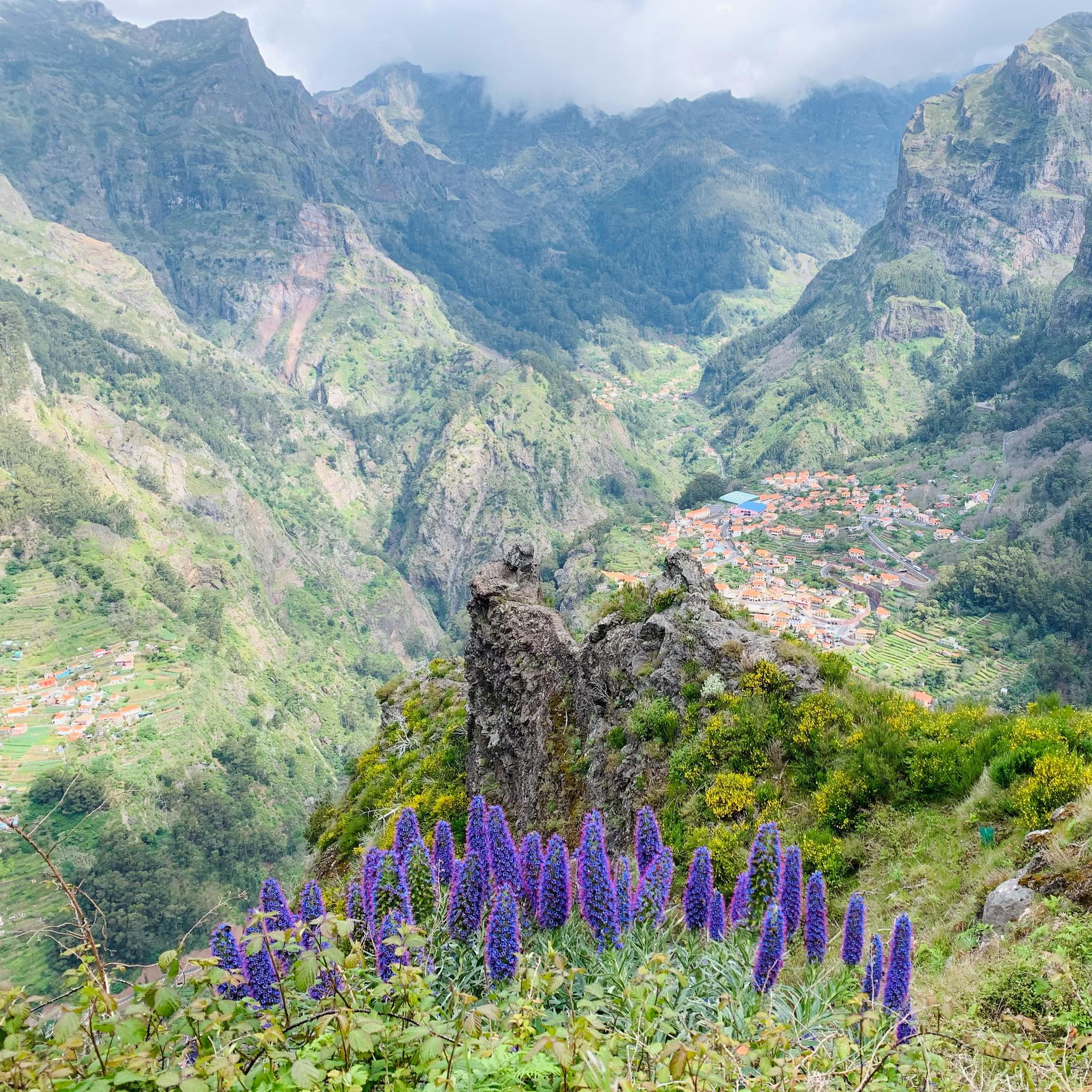 Widok na Curral das Freiras. Przepiękne kwiaty Massaroco i wioska w Dolinie Zakonnic. #madera #maderaryszardbaraban #madeiranowordsneeded #madeiraisland #madeira #wycieczki #przewodnik #polskiprzewodniknamaderze #visitmadeira #travel #travelphotography #travelgram #portugalia #portugal #polskadziewczyna #polskichlopak #wakacje #photo #photooftheday #natura #naturephotography #nature #góry #curraldasfreiras