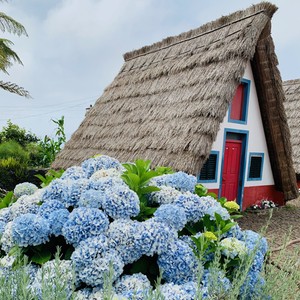 Santana
#maderaryszardbaraban #polskiprzewodniknamaderze #madera #santana #madeiranowordsneeded #visitmadeira