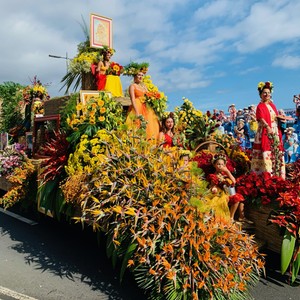 Parada Festa da Flor Funchal 2021
#maderaryszardbaraban #festadaflor #madeiranowordsneeded #madeira #madeiraisland #madera #polskiprzewodniknamaderze #ryszardmadera #paradakwiatów #funchal #flowers #portugalia #portugal #visitmadeira #polskadziewczyna #polskichlopak #warsawgirl #warsawboy #wroclawgirl #wroclawboy #wakacje #urlop #photo #photooftheday #travel #travelphotography