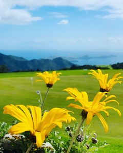 Punkt widokowy podczas wycieczki Wschód - pole golfowe Santo da Serra 🏌️‍♂️
#madera #maderaryszardbaraban #madeira #santodaserra #polegolfowe #ryszardmadera #visitmadeira #przewodnik #wycieczkawschodnia #portugal #portugalia #grawgolfa #golf #polskadziewczyna #polskichłopak #polegolfowe #wycieczki #wakacje #travelgolf #instatravel #travelgram #sportgolf