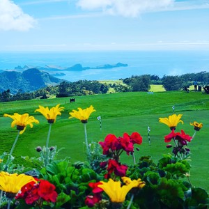 Dzisiaj wycieczka Wschód i jeden z przepięknych punktów widokowych mojego autorskiego programu ☀️☀️☀️
Zapraszam
#maderaryszardbaraban #madera #wycieczkawschodnia #madeira #visitmadeira #madeirapanoramicohotel #photooftheday #photo #natura #nature #santodaserra #portugal #portugalia #polskadziewczyna #polskichlopak #warsawgirl #warsawboy #instatravel #foto #widoki #przyroda #wakacje
