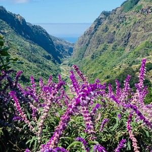 Jeden z punktów widokowych wycieczki Zachód☀️
#maderaryszardbaraban #madeira #przewodnik #madera #ryszardmadera #visitmadeira #przyroda #widoki #wycieczki #panorama
#travelgram #kwiaty #doliny #polskadziewczyna #polskichlopak #portugal #portugalia #travel #wakacje #podróże