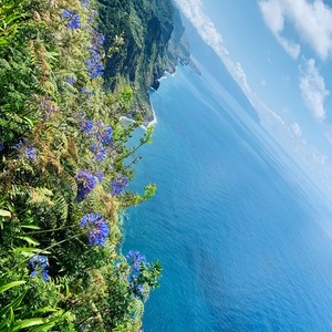 Piękno Madery
#maderaryszardbaraban #madera #przewodnik #wycieczki #polskiprzewodnikpomaderze #beauty #visitmadeira #madeira #portugal #portugalia #polskadziewczyna #polskichlopak #wakacje #urlop #photooftheday #foto #instatravel #travelgram