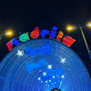 Świąteczny nastój w Funchal, który potrwa do 8/1/2025 🌲
#madera #maderaryszardbaraban #madeira #święta #funchal #visitmadeira