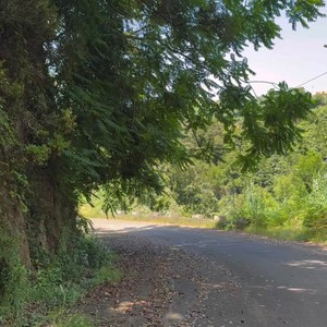 Madera Ryszard Baraban na swoich wycieczkach nawet jak jeep wjeżdża swoim Mercedesem luksusowym na stare trasy, żeby pokazać turystom piękne miejsca gdzie turystyka zorganizowana nie wjeżdża.
Wycieczka Wschód☀️
#maderaryszardbaraban #madeira #polskiprzewodnikpomaderze #madera #ryszardmadera #visitmadeira #wakacje #portugalia #portugal #polskadziewczyna #polskichłopak #insta #staretrasy #urokliwewidoki #góry #przyroda #nature
