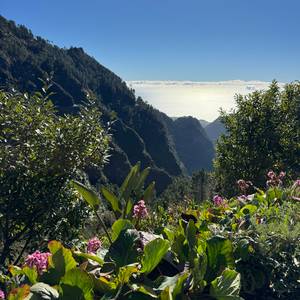 Eira do Serrado dnia 30/12/2025
Cudowny i słoneczny dzień, aż miło cieszyć się widokami ☀️
#maderaryszardbaraban #madera #polskiprzewodniknamaderze #wycieczki #madeira